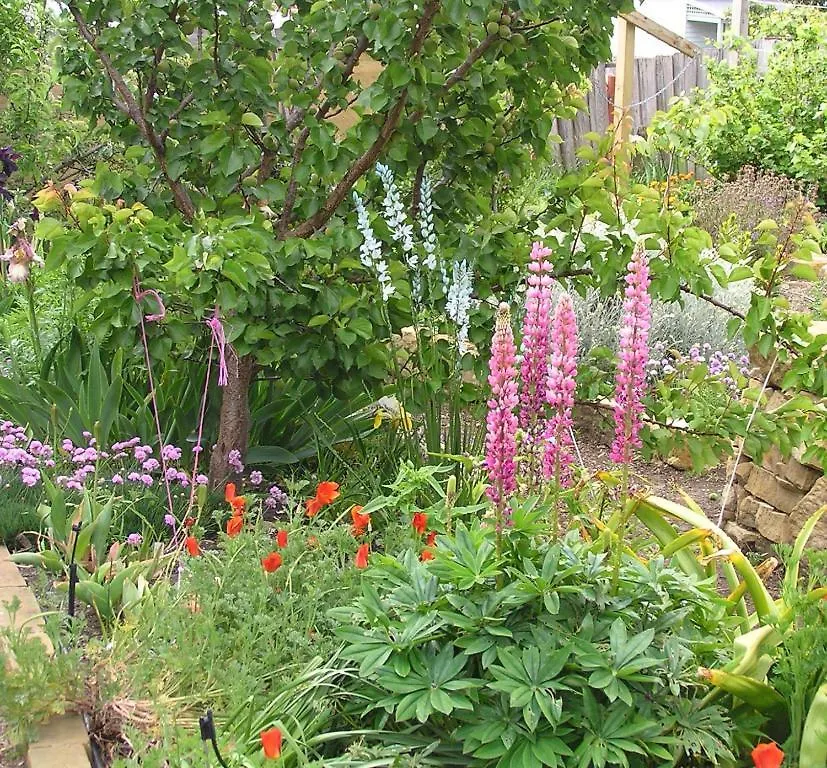 Bendalls Bed And Breakfast Hobart