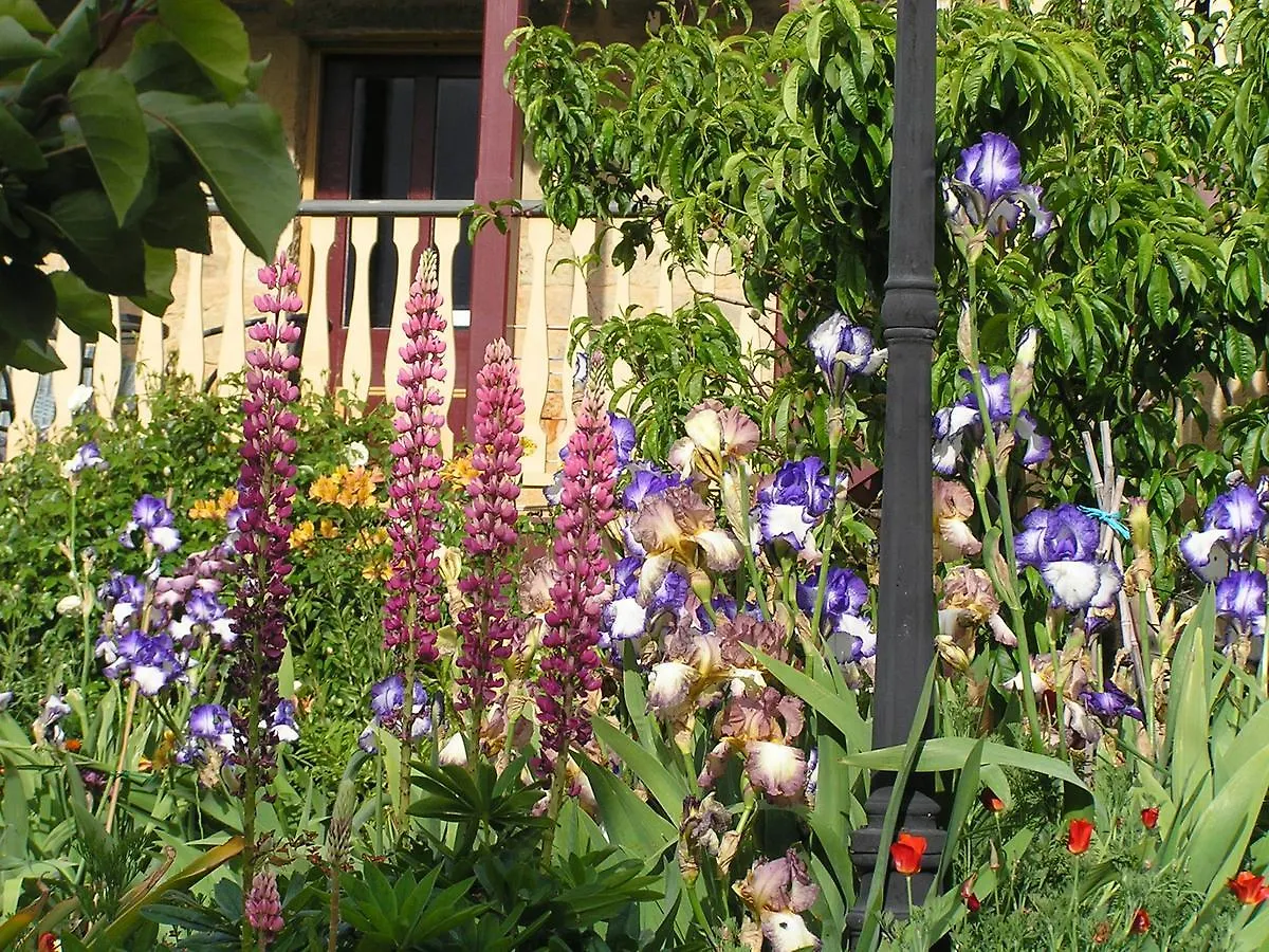 Bendalls Bed And Breakfast Hobart Bed & Breakfast