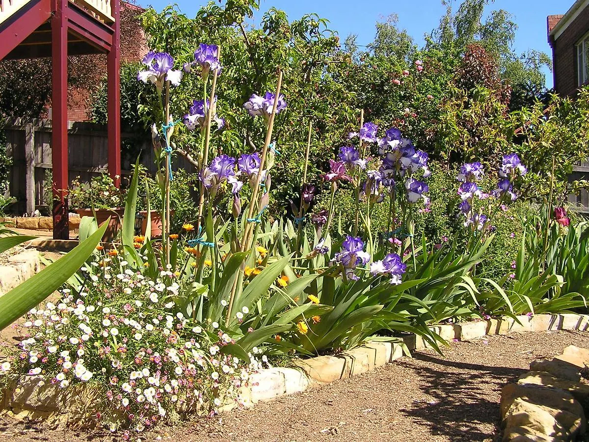 *** Bed & Breakfast Bendalls Bed And Breakfast Hobart Australia